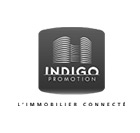 Indigo promotion