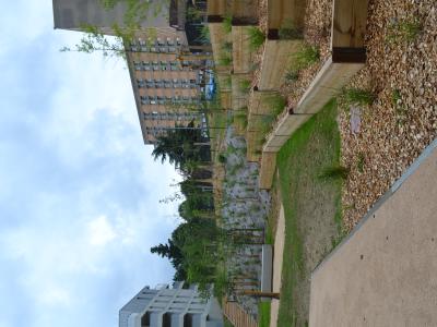 Jardin Pouvourville Green