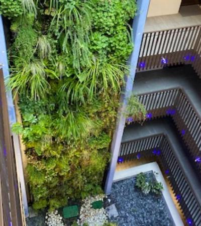 Mur Vegetal Toulouse